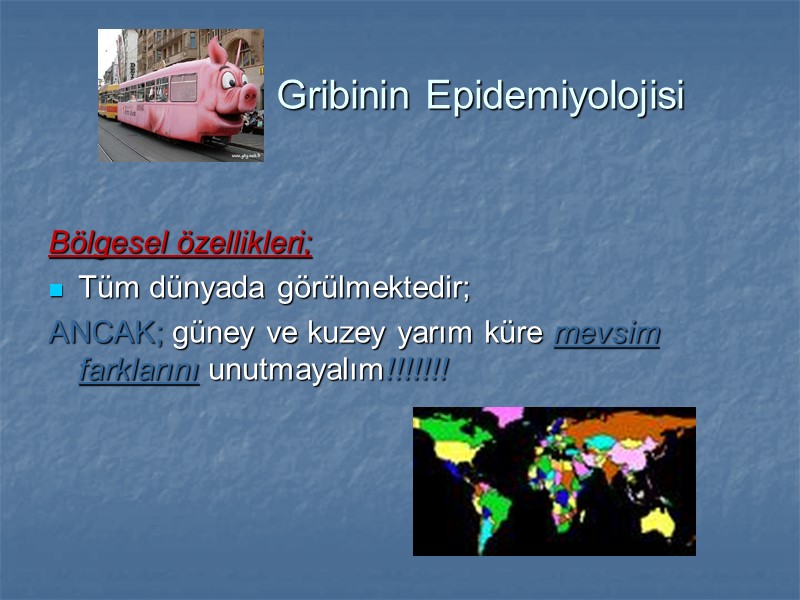 Gribinin Epidemiyolojisi  Bölgesel özellikleri; Tüm dünyada görülmektedir; ANCAK; güney ve kuzey yarım küre